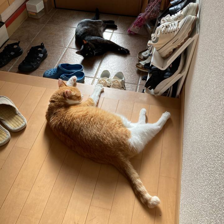 6d0e28ca 1301 49d4 b026 12a27f53251f 1763520693815