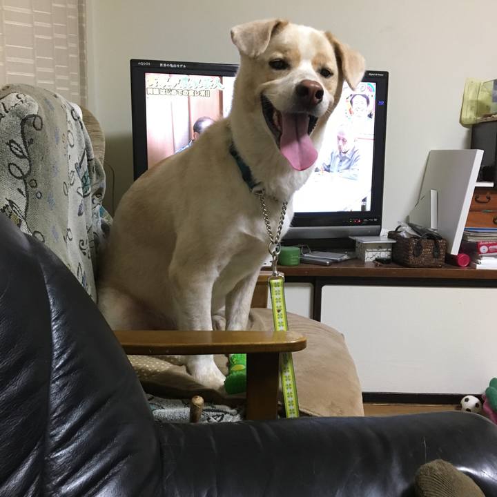 6d0e5fd1 add9 4bcb b9c0 97a5fb9b75cc 1531047185750