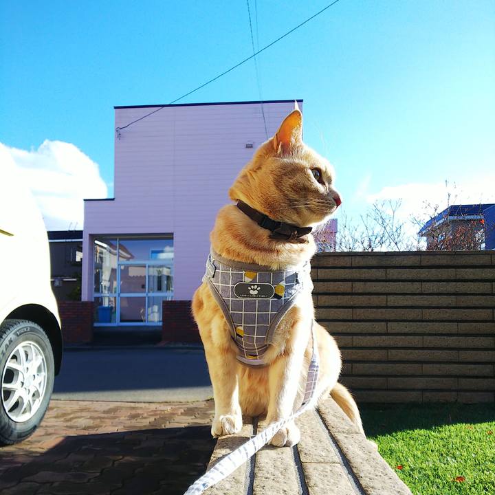 6d0e6cd5 e0f5 41c7 a679 e111ef0d3d5a 1638592389801