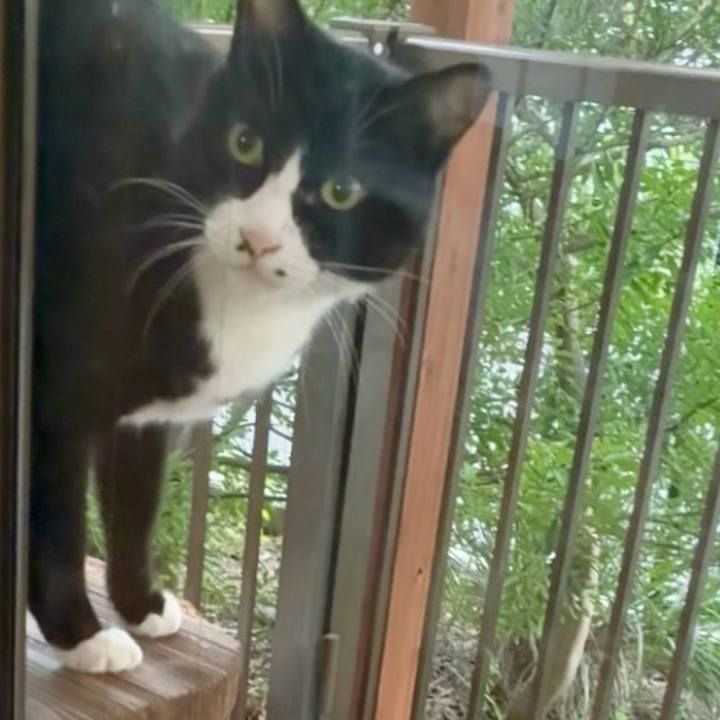 6d0e72e3 bcfa 44d2 bedb 80ac472afd74 1761134530212