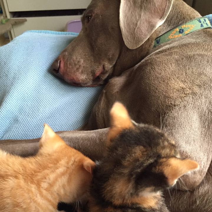 6d0e78a8 3e30 490e 9b2d e9d28be299dd 1534598092331