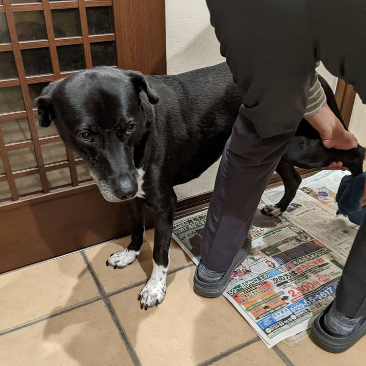 6d0e7a76 6103 4c04 9d70 0d8af1d91408 1697368276260