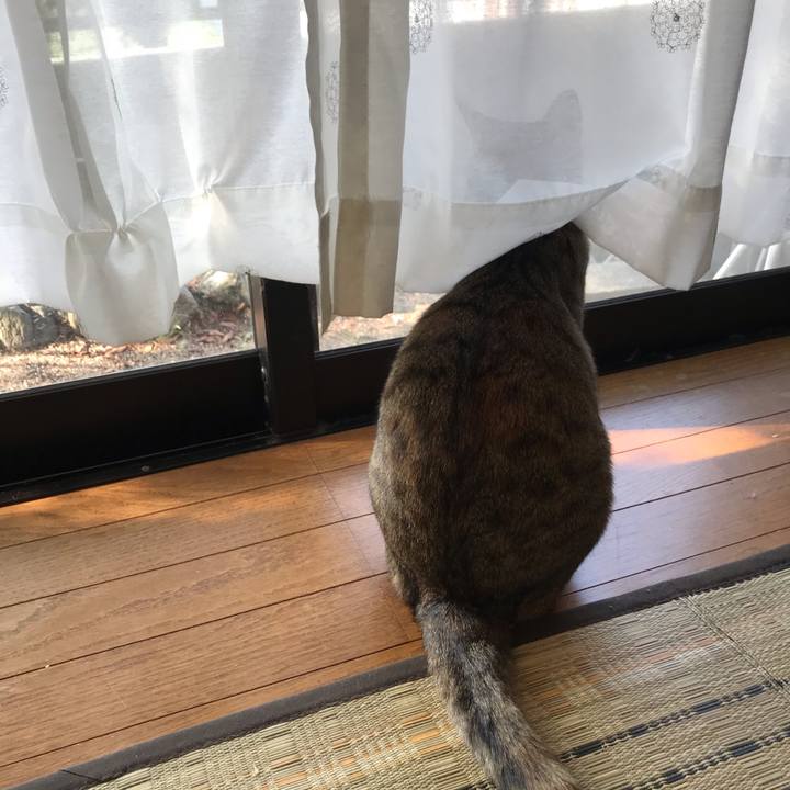 6d0e9713 e264 422e 98ce 4d349b8b82df 1598235955437