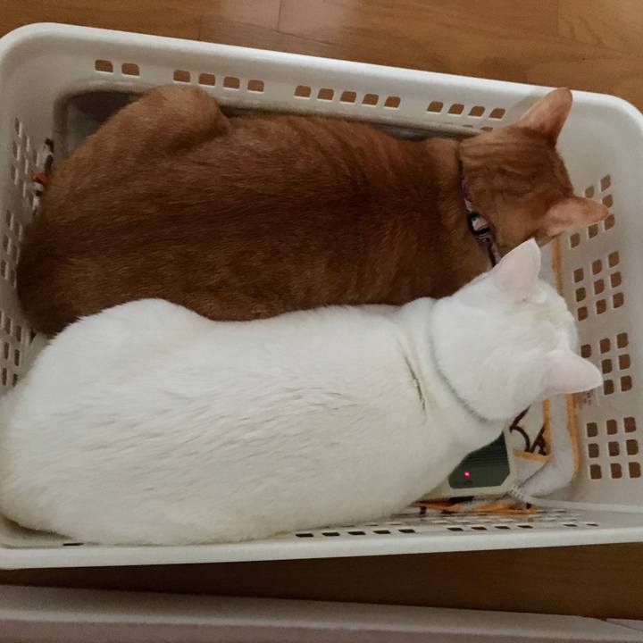 6d0ea6b4 abb4 49c5 b3bb 8934de367a6d 1551569325592