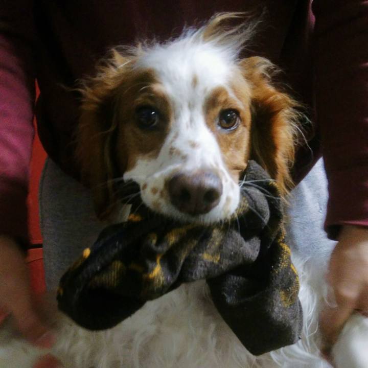 6d0f02b5 0c91 45cd 8d6d 233d974f9335 1547814360893