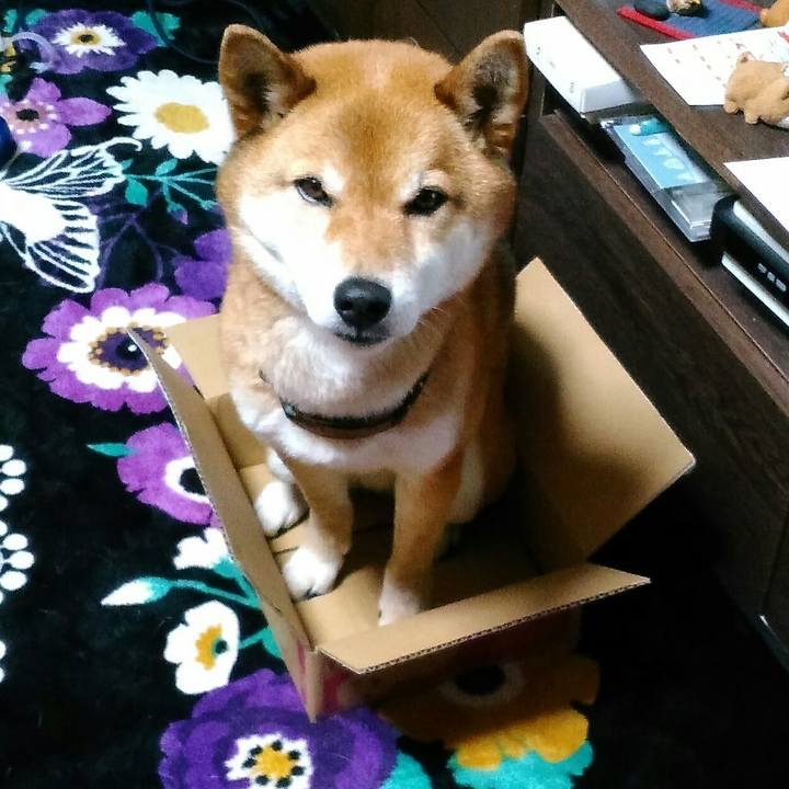 6d0f25d5 3b66 424d aad4 c6a90c1b0c0b 1553170178918