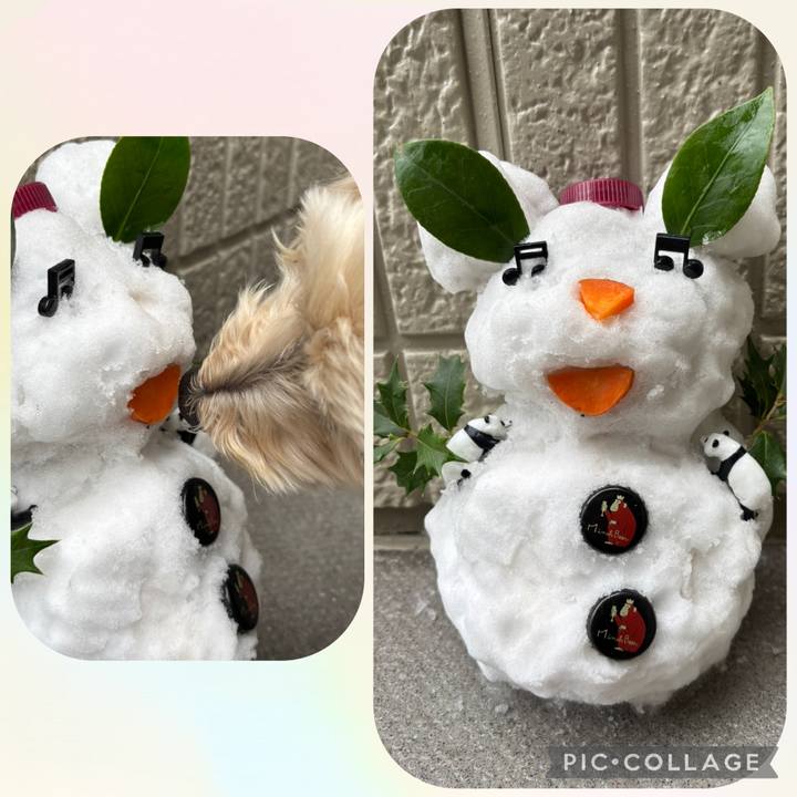 6d0f462c 624c 4e24 a0fc 1c71cd7a25b5 1769136099031