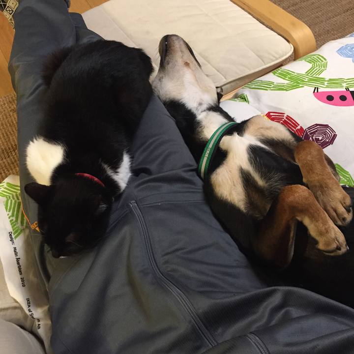 6d0f4749 4f35 4e95 a4a9 47b598b1b56c 1508259603513