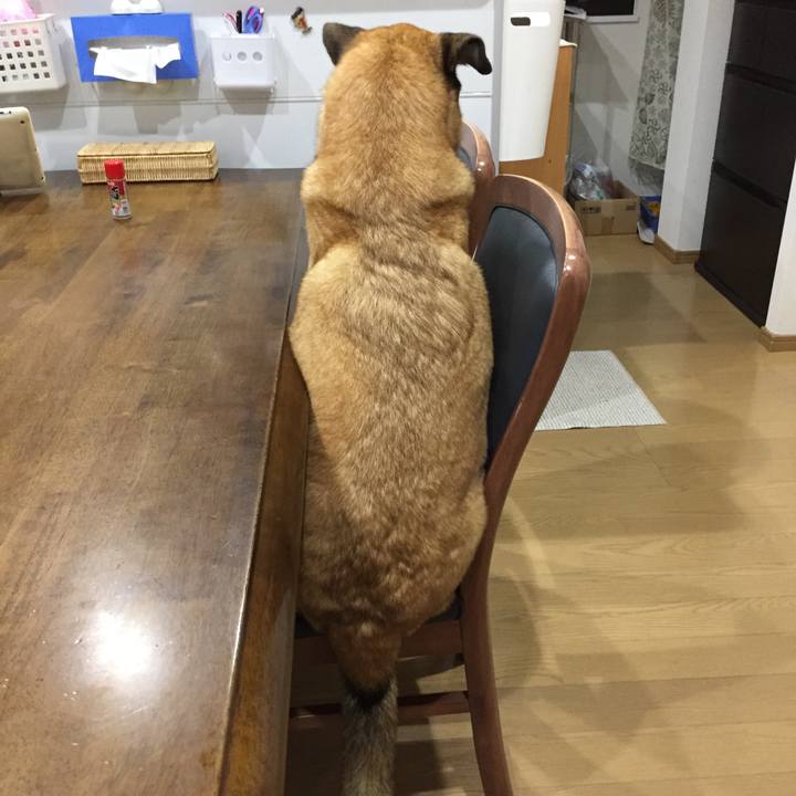 6d0f63f0 13bd 499e 9eb3 cad817db6664 1511090723764