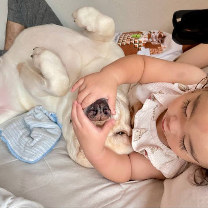 6d0f766d 4281 4569 b9c7 e1aeeadd2930 1760770493318