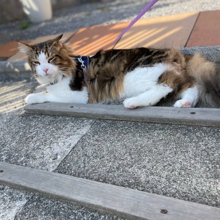 6d0f8a46 7c65 4dc6 b676 d86a8ee1b47f 1652000238196