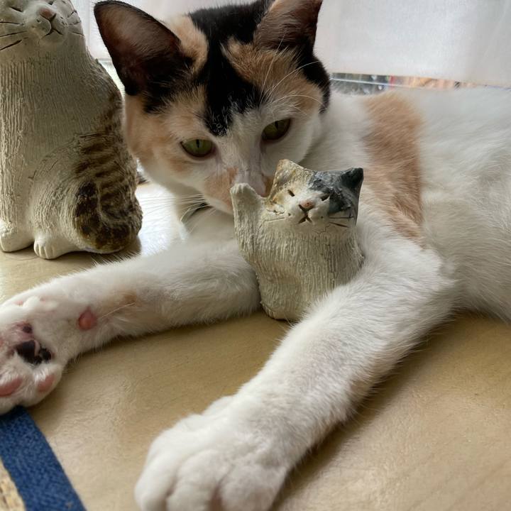 6d0f90a3 7202 4499 b22a b2647ea9da9a 1692594516328