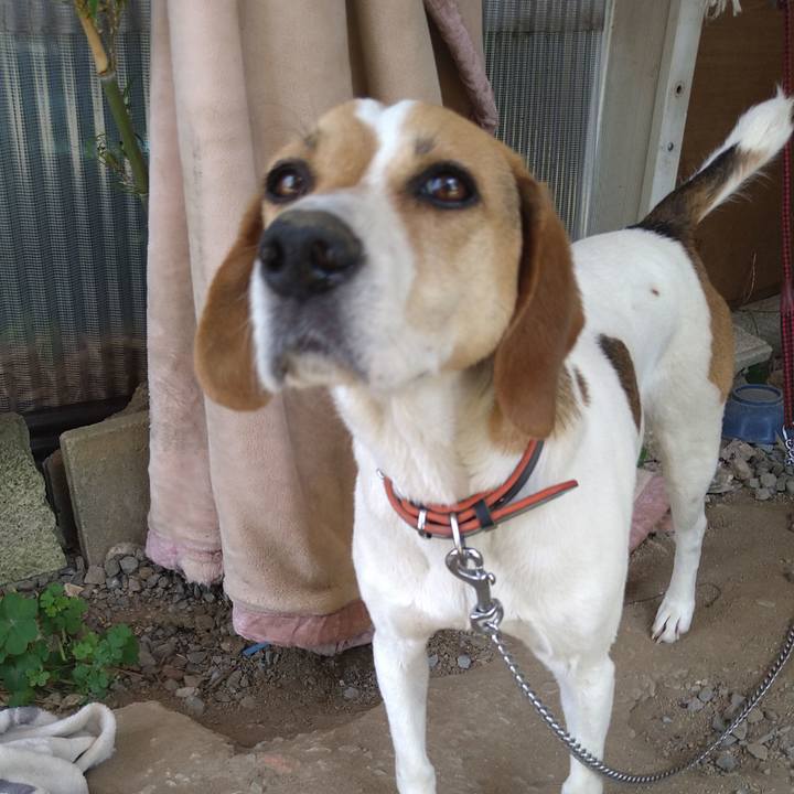 6d0fb4f2 cfd3 4819 998f 3c8634826864 1623209926108