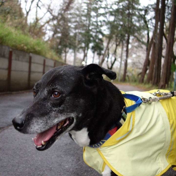 6d0fc9e0 5e39 483e 9463 a64055a7de45 1743119389576