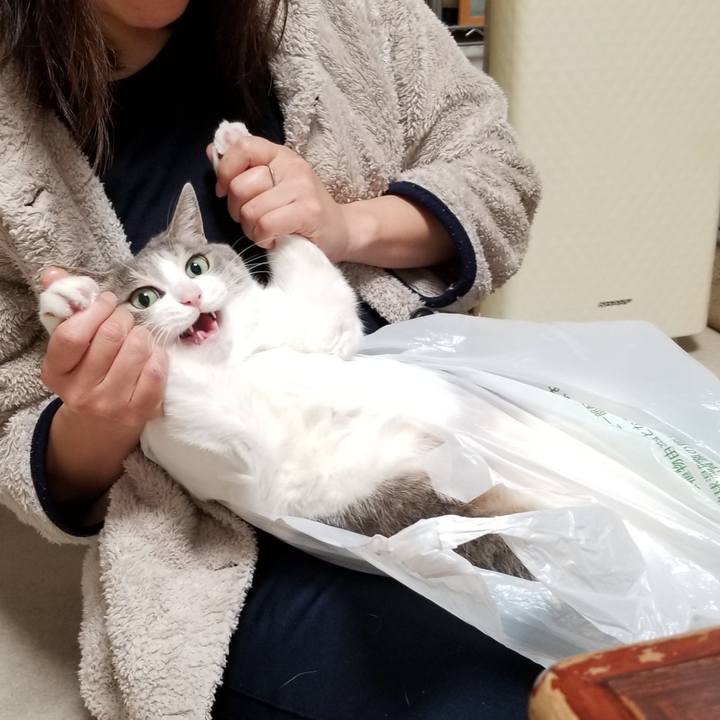 6d0fd054 3f20 4664 acbb e5d351fde13b 1614254863117