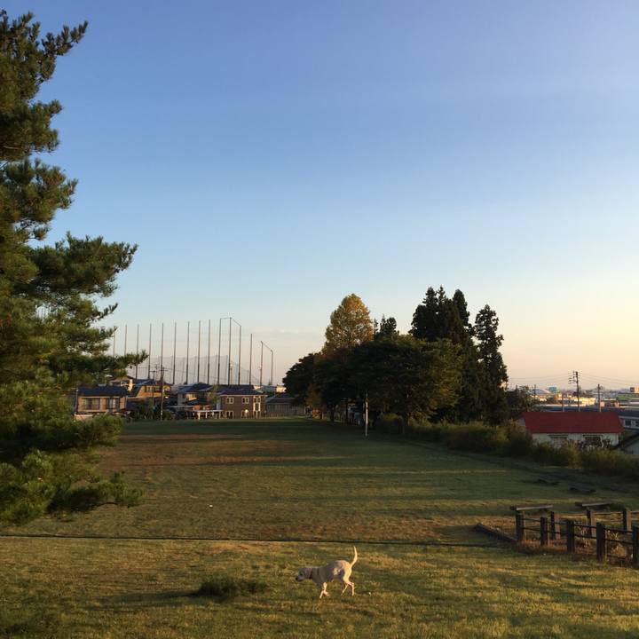 6d0fee7d bfb0 425e beaf ebf38c037a54 1509062137595