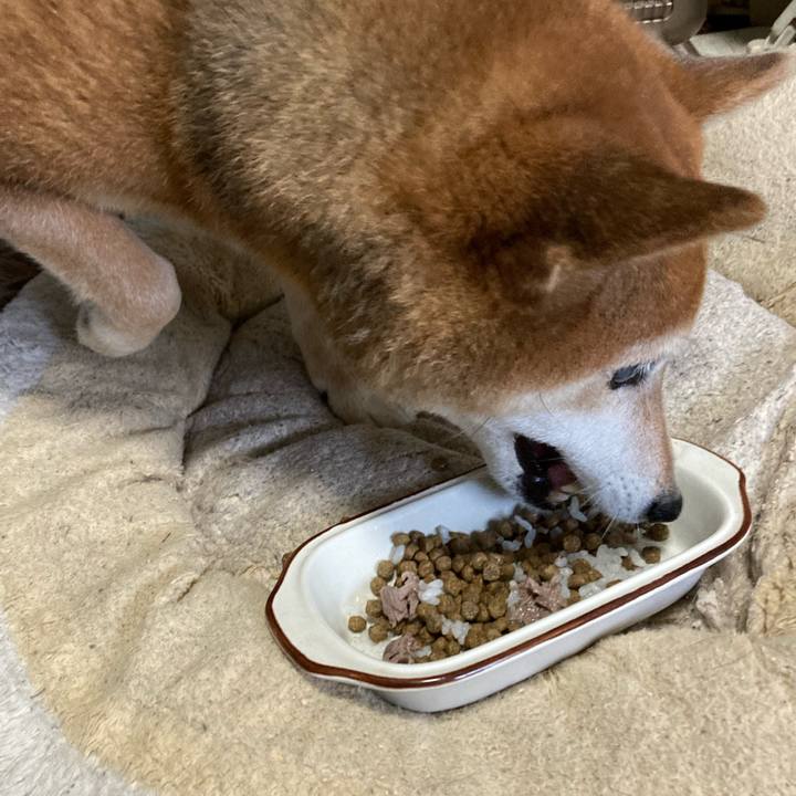 6d0ff39b 16d7 4f2b acdd 64e62a132e0d 1677825461390