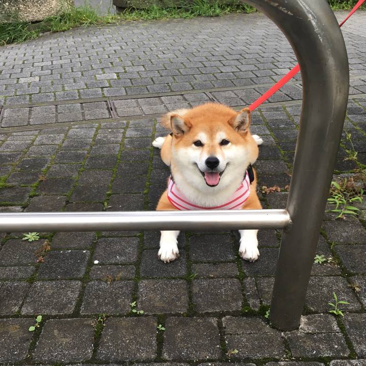 6d0ffce3 3f8d 47f1 9035 31e1eeb0fb29 1594375893475