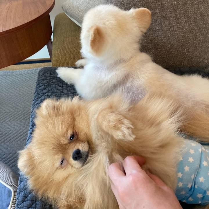 6d100c2c 46b2 4541 9e71 390bbde81b5e 1649309156616