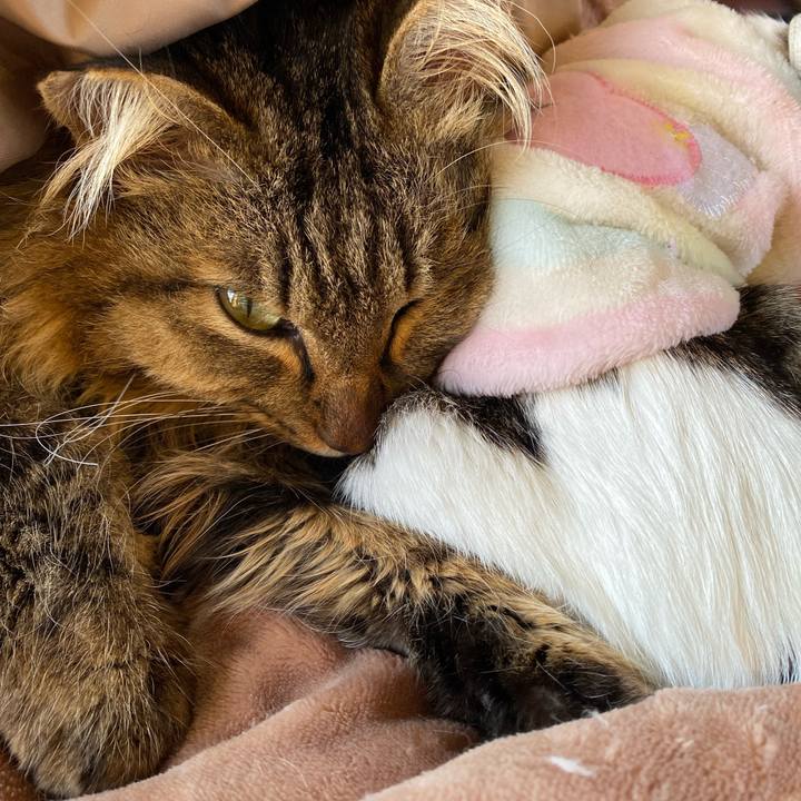 6d102bdd a646 4a04 9fc1 ced98bfee968 1706858881549