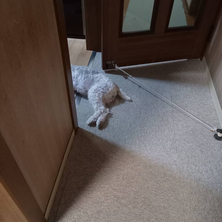 6d1039ec 9c31 4c8e 9c3e 67d70eae537b 1655681136438