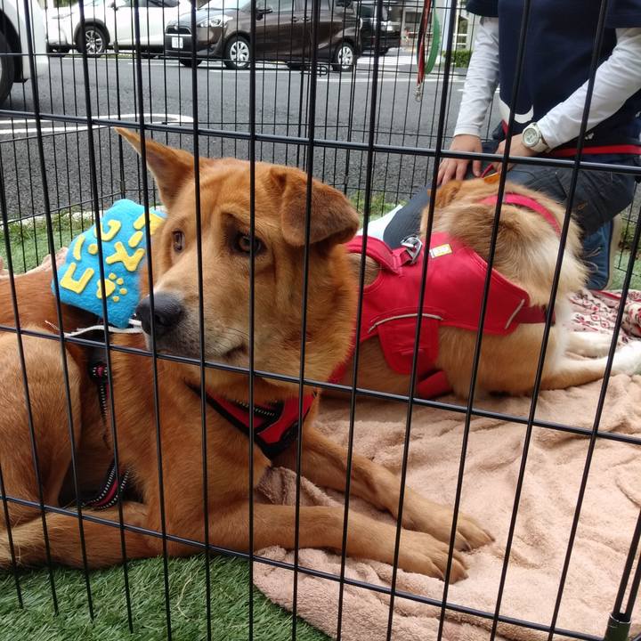 6d10a4a7 897b 494e bd7d c3d4a0404939 1571613752626