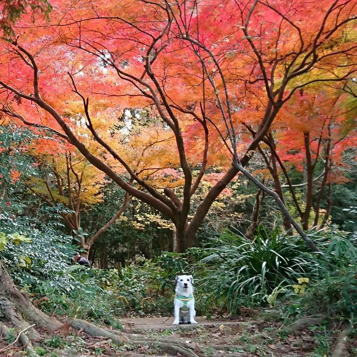 6d10c03e 8dc6 48d2 b6da 24e3d23eb32b 1543753297391