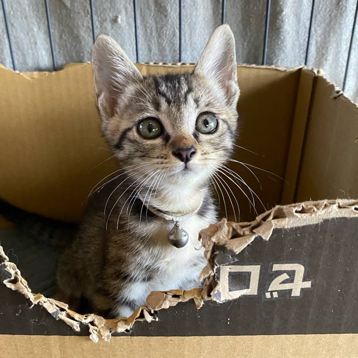 6d10d1f4 59b4 4259 91ab 283285152d44 1719995033860