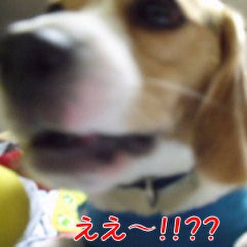 6d10eac4 7add 4a67 8fcf 30ae23ae19c0 1719612394747