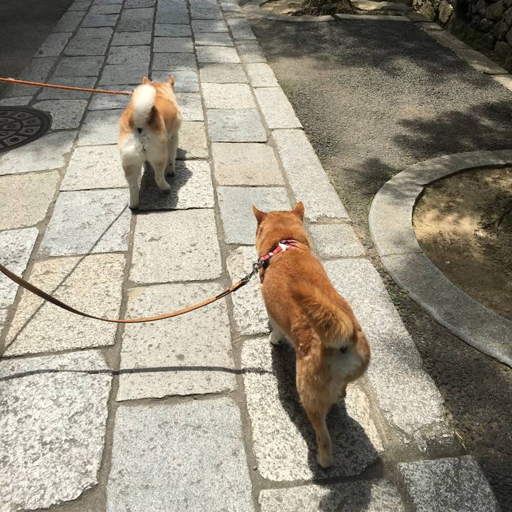 6d10eb07 01fe 46cf b04e 9dabfaac8bb3 1527389891001