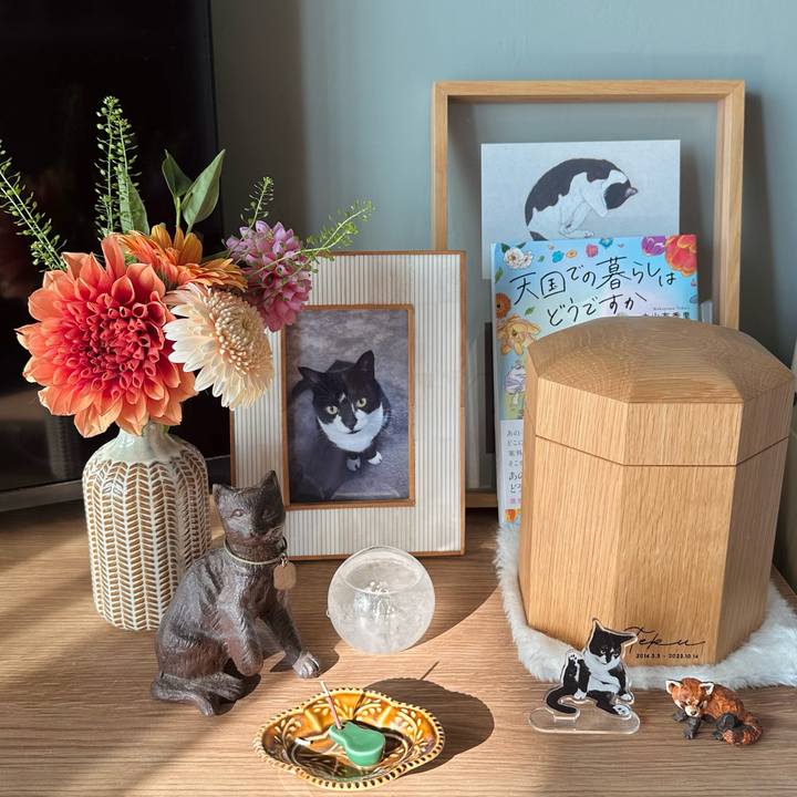 6d10f1b3 bc38 45f7 b999 4ad504ef3c4c 1760398925279