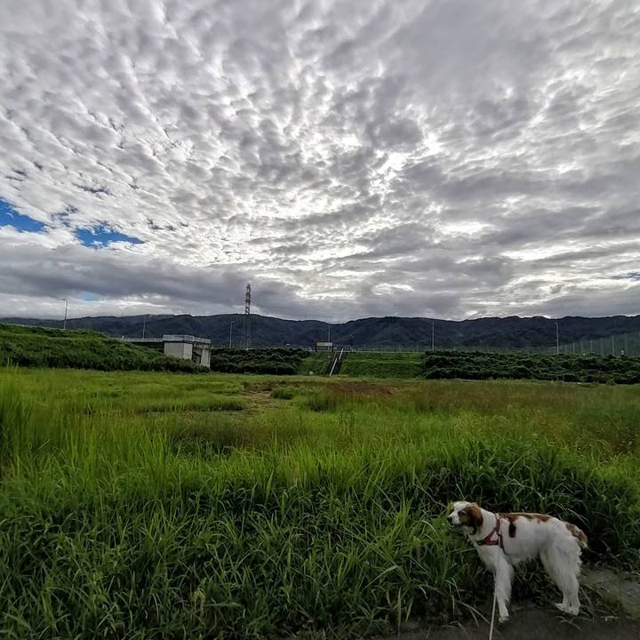 6d10fb4c 9e33 4993 bfe7 eacfb37a978c 1628299994765