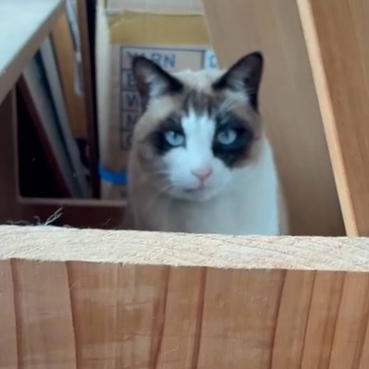 6d110168 5dda 4361 9564 4afe1925bff9 1769605972778