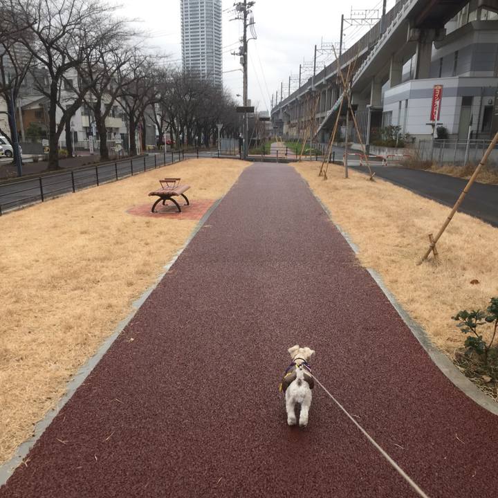 6d1125d9 2609 4285 ba55 b89e58c80dff 1514714236816