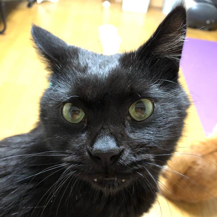 6d114d09 87c5 4c15 b507 3dda23f88eb5 1603532619504