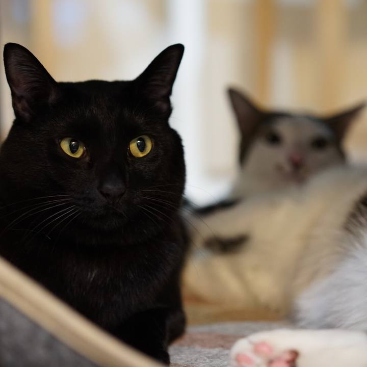 6d118e54 78f3 4c40 98b5 1d2e32e7577b 1548772442216