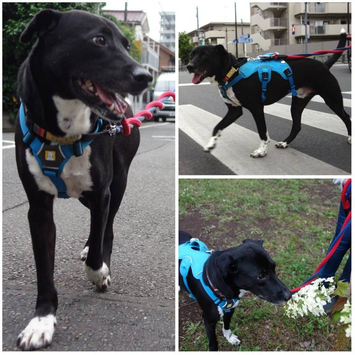 6d11b022 eefb 4225 aa72 d6d2e2ab89f1 1621679199920