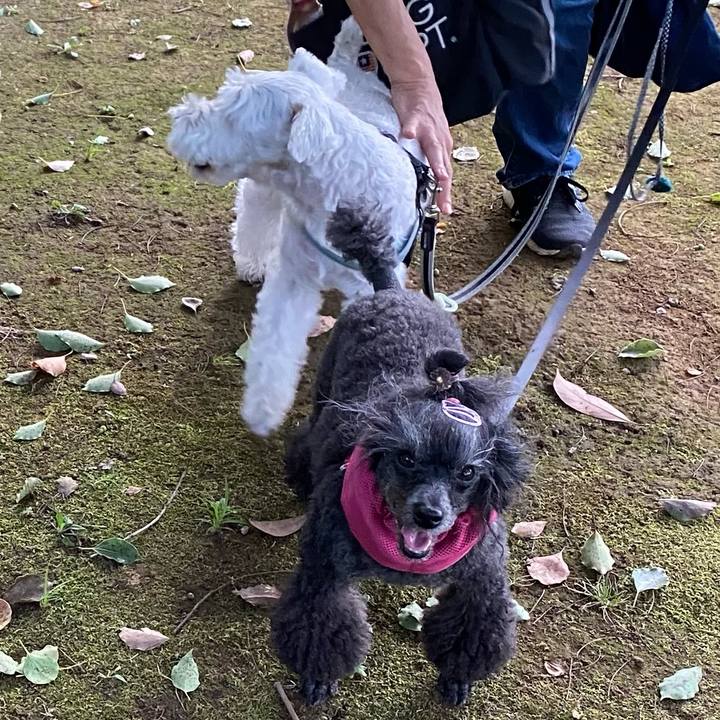 6d11b2e9 5848 4af2 bbd5 b5d217357c31 1692612251299