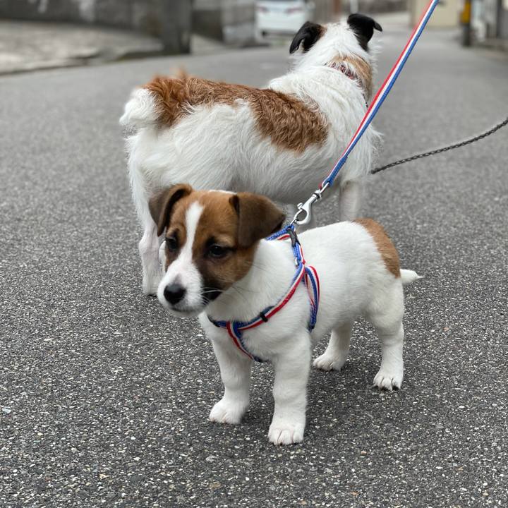 6d11c670 62ed 40e0 917a 90df70ce6efd 1616829112795