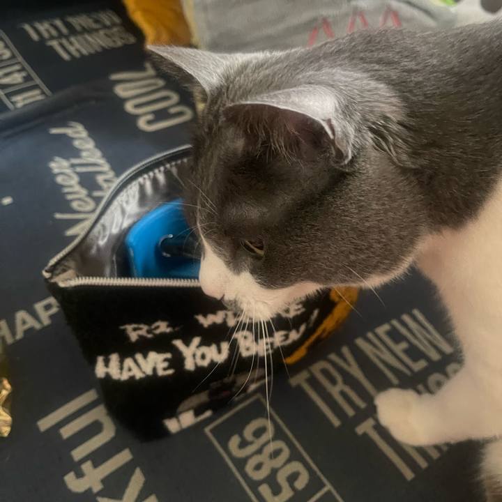 6d11c874 cfa8 4ff5 8f8f a5154f222390 1745109111369