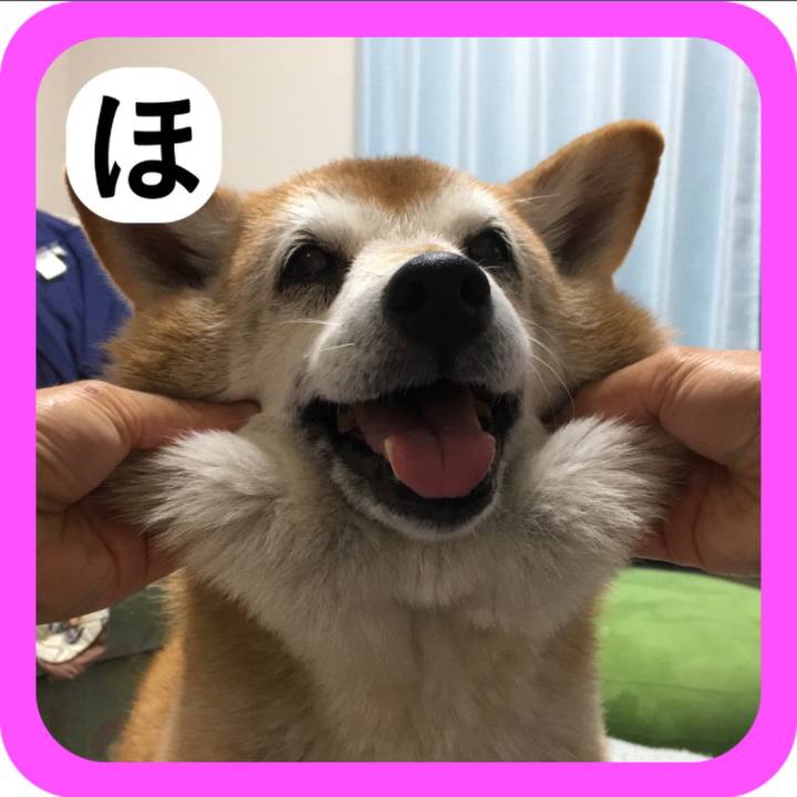 6d11eb25 6df5 4237 bb37 27f5c479c565 1515057376765