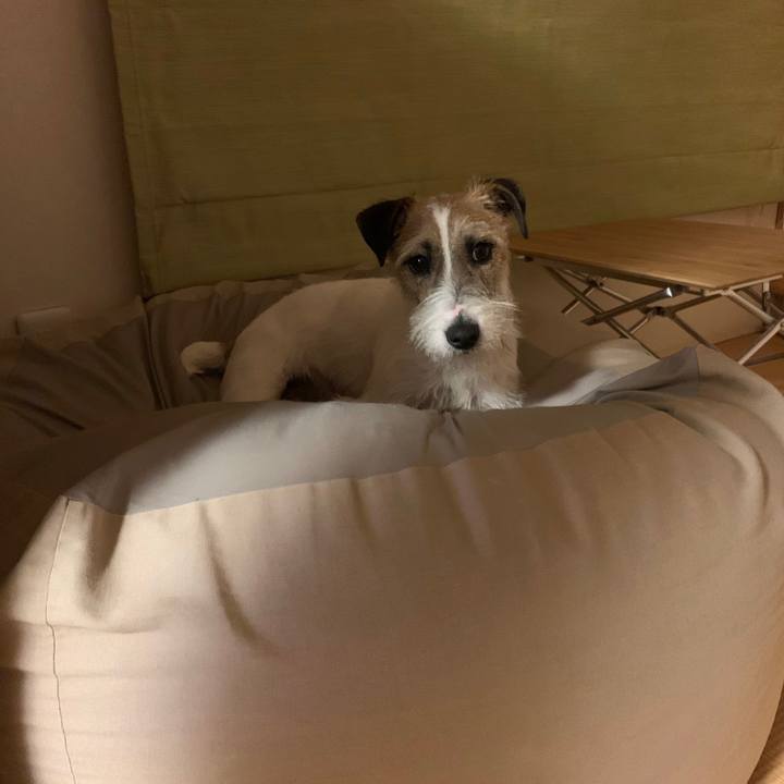 6d11fd48 a382 4e06 b05d 3f088bdd5256 1584275734642