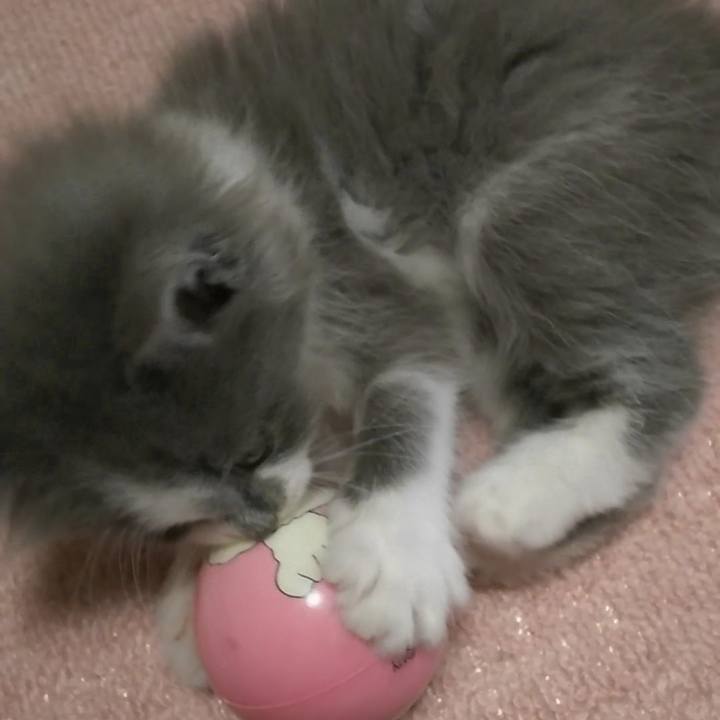 6d1232c8 7ce6 49e8 acdc 3c1406cb661c 1559289881604