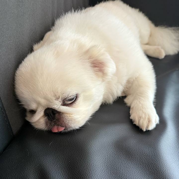 6d125c54 af76 4584 9da2 8d0fe0524b72 1756511246694