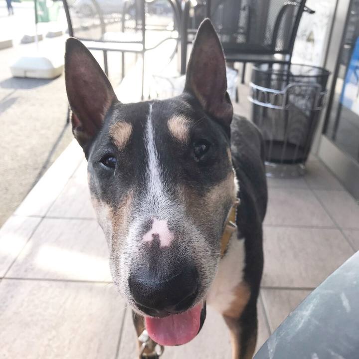 6d12809e 273c 49ec be67 06529d87fbf4 1524394391798