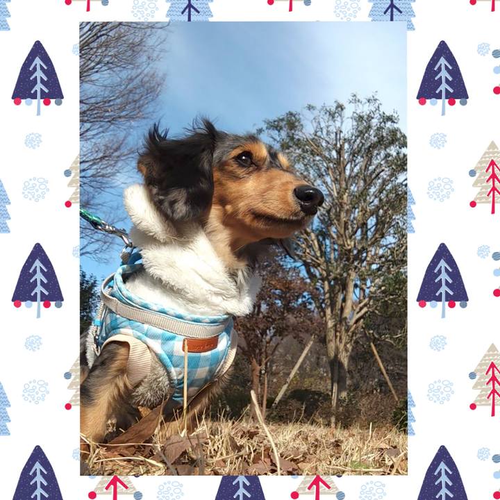 6d12b573 3ec8 407b 8bb1 ec052ce52ee0 1734515640511