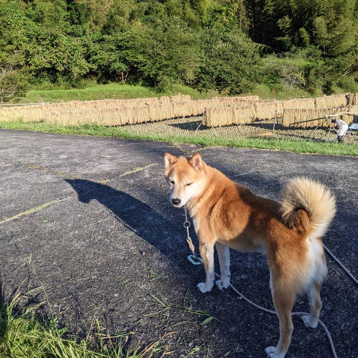 6d12b9f2 79e6 4d6d 8f38 4afa0dc4527f 1632921218476