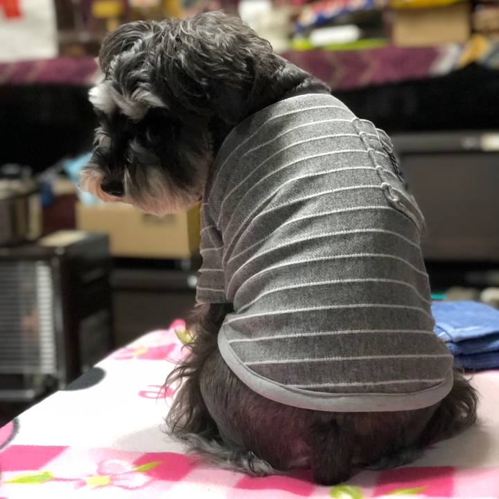 6d12eed0 3fdb 426a 84b6 6121b20fdf72 1575367108732