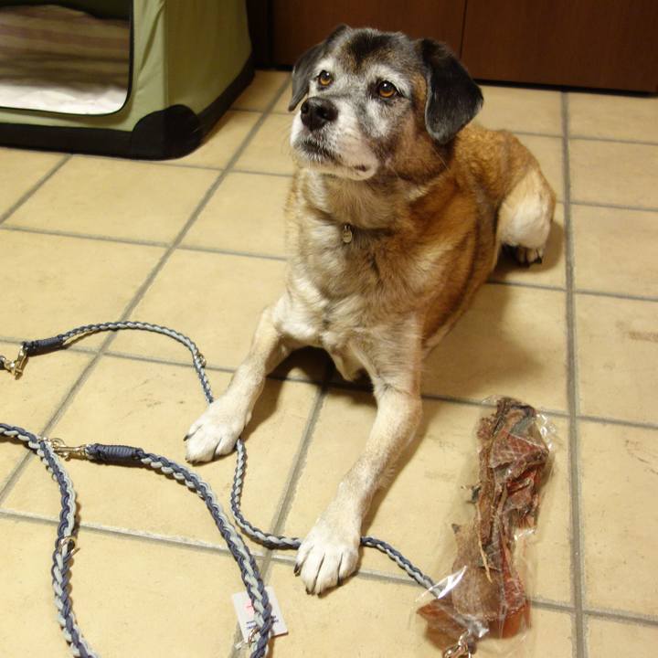 6d12f169 24eb 4925 beb5 b702c459abfb 1652148410551