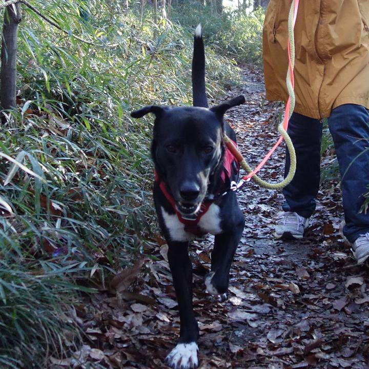 6d1314d6 671c 4795 bd62 14dafab0bab9 1582800470202